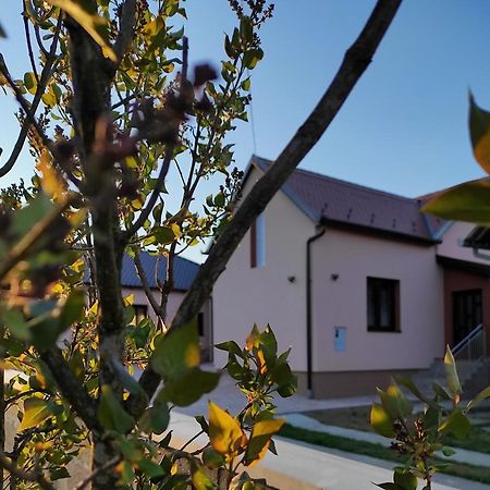 Agroturizam Opg Jakopovic Caglin Εξωτερικό φωτογραφία