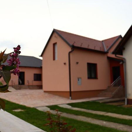 Agroturizam Opg Jakopovic Caglin Εξωτερικό φωτογραφία