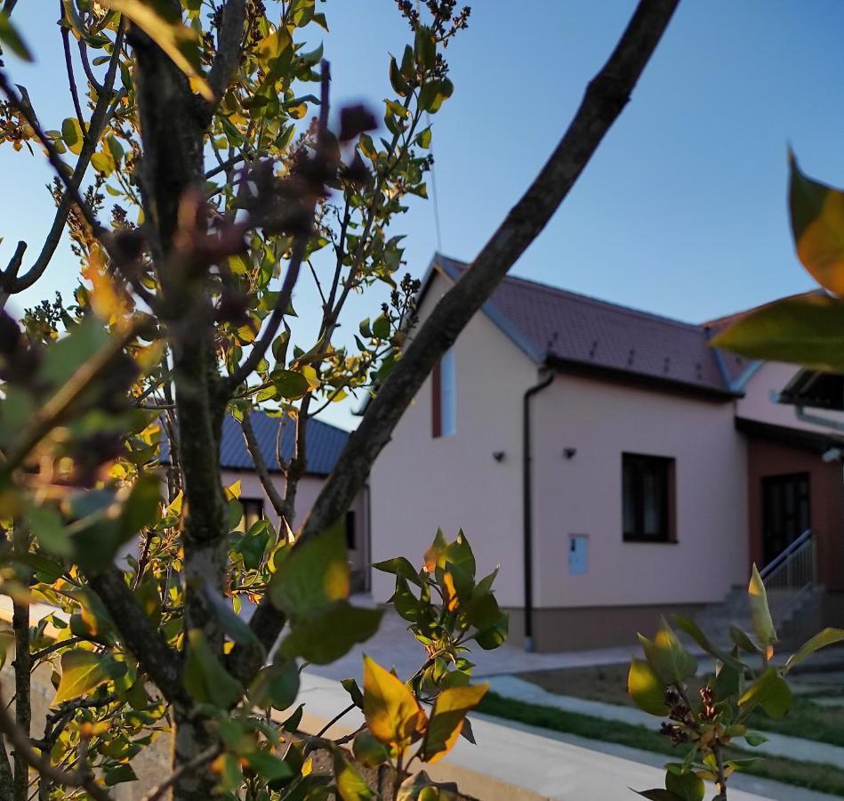 Agroturizam Opg Jakopovic Caglin Εξωτερικό φωτογραφία